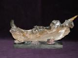 Фрагмент челюсти пещерного медведя. Возраст - не менее 12 000 лет.